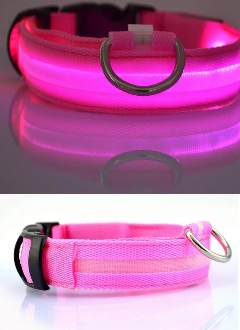 PawBright LED-Hundehalsband