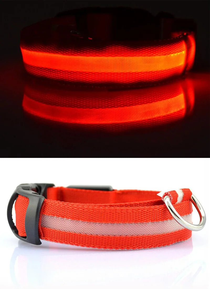 PawBright LED-Hundehalsband