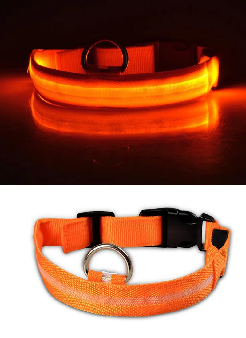 PawBright LED-Hundehalsband