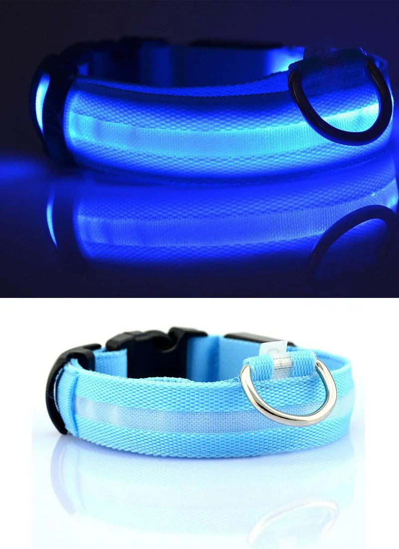 PawBright LED-Hundehalsband