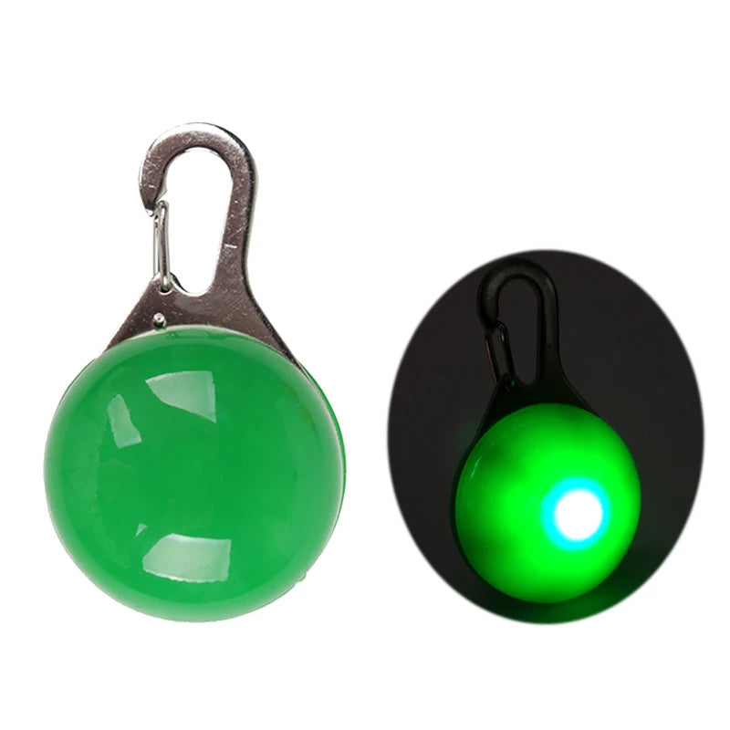 PawBright LED-Hundehalsband