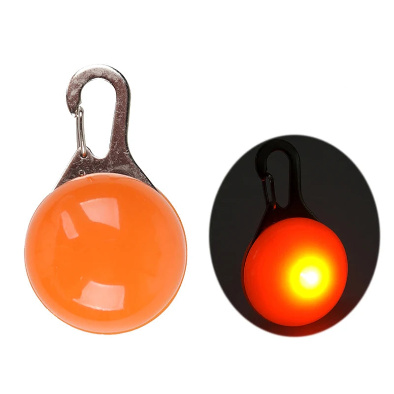 PawBright LED-Hundehalsband