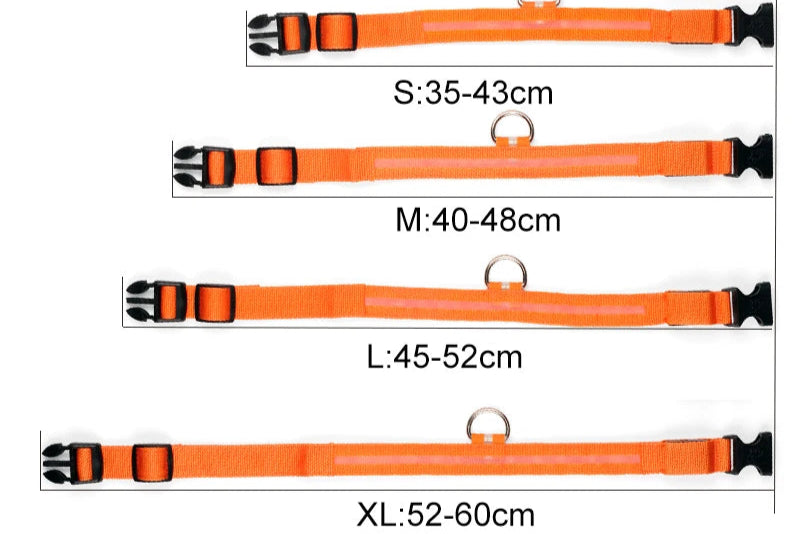 PawBright LED-Hundehalsband