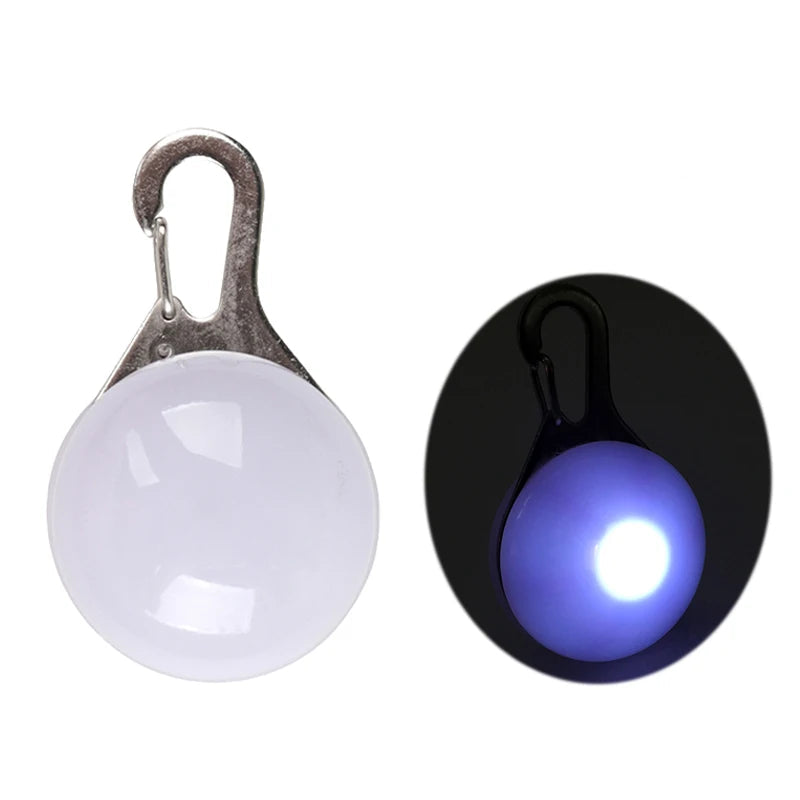 PawBright LED-Hundehalsband