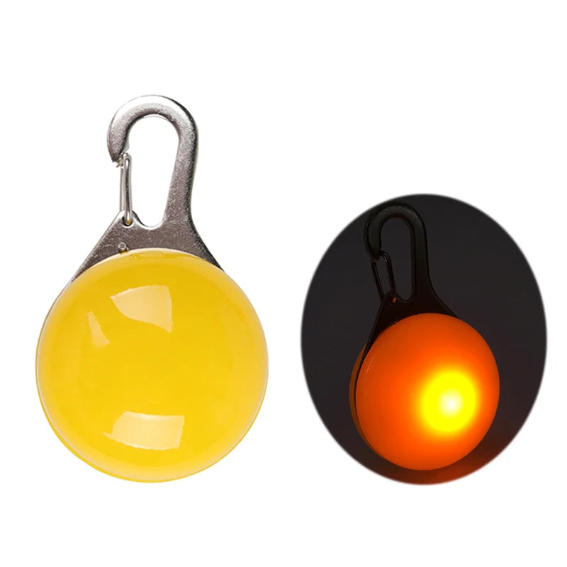 PawBright LED-Hundehalsband
