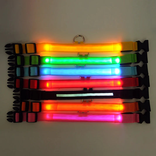 PawBright LED-Hundehalsband