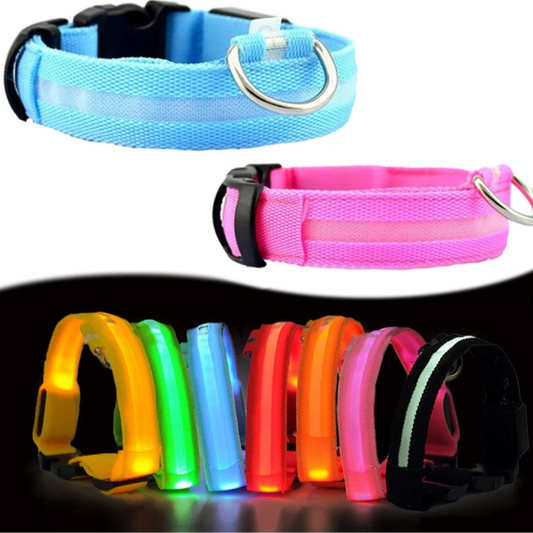 PawBright LED-Hundehalsband